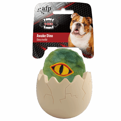 289369 AFP My T-rex - Awake Dino