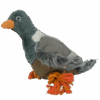 Wild Life Dog Pigeon (Duif)