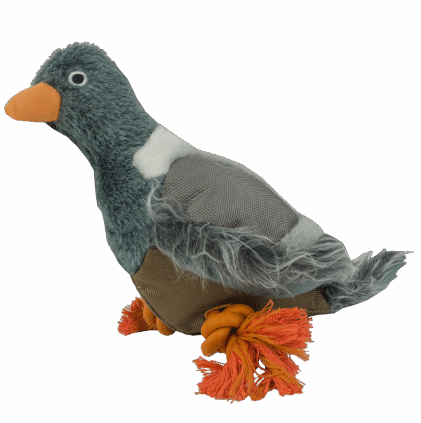 Wild Life Dog Pigeon (Duif)