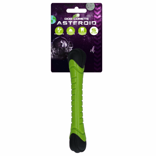 289484 Dog Comets Asteroid Green S