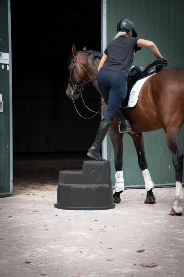 289598 Excellent opstaphulp 3 trede roze