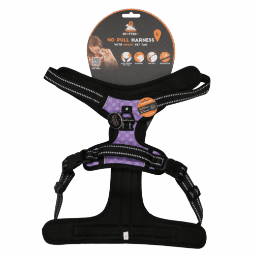 289602 Spotted! PRO Harnas Paars L