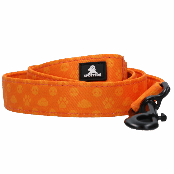 289762 Spotted! PRO Lijn Antraciet 120cm