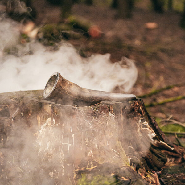 289872 Viking whole Horn S