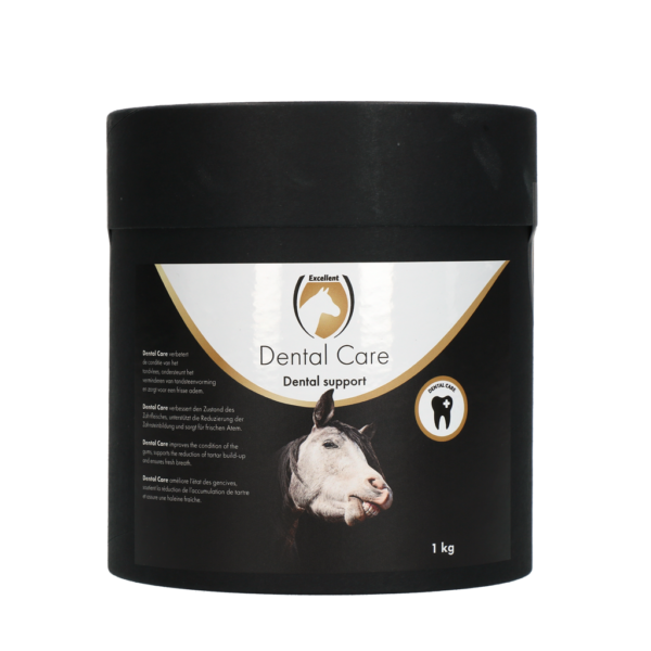 289879 Excellent Horse Dental Care 1 kg