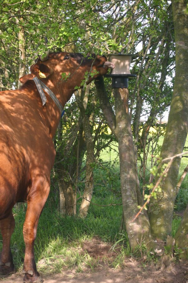 289897 Liksteenhouder voor op Paal KS voor 10 kg