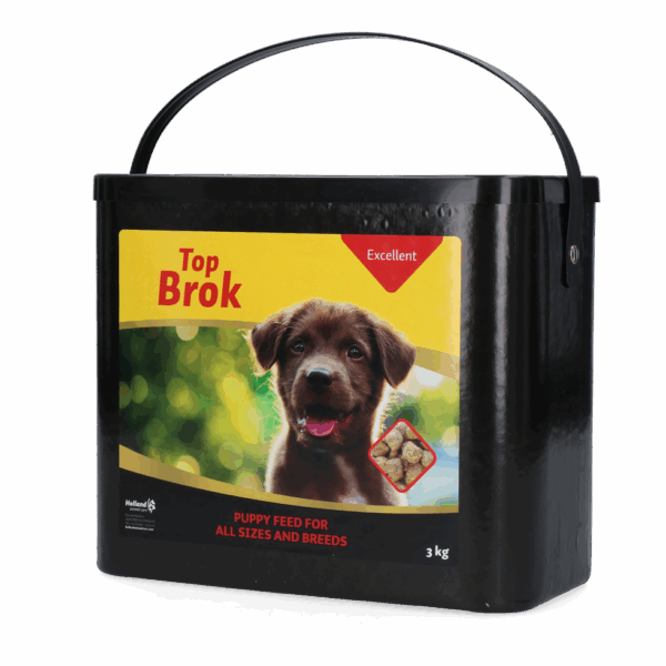 289953 Topbrok Excellent Puppy