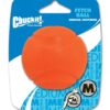 289985 Chuckit Fetch Ball M 6 cm 1 Pack