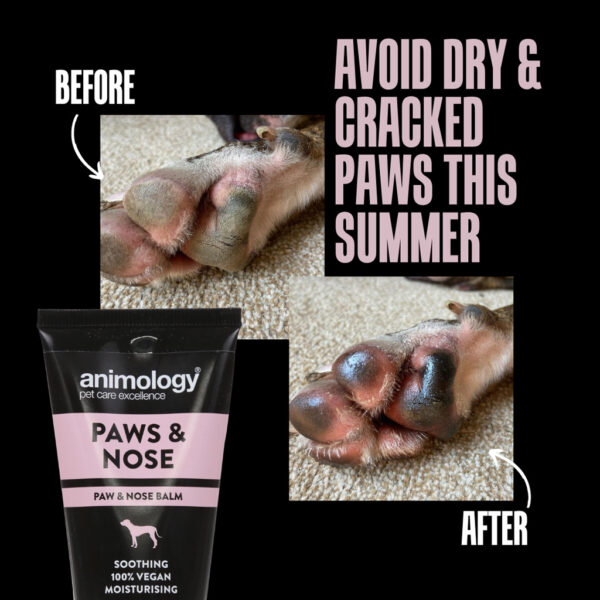 289991 Animology Paws & Nose Balm 50ml