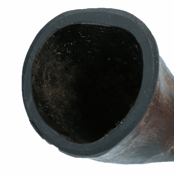 290098 Viking whole Horn S