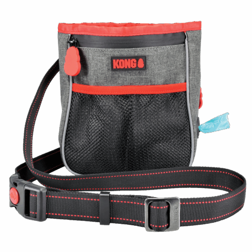 290198 KONG Hiking Bag