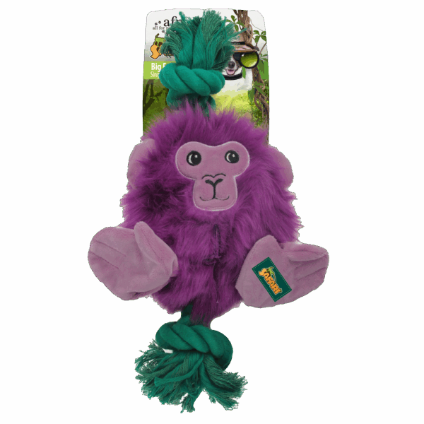 AFP Safari - Big Foot Elephant