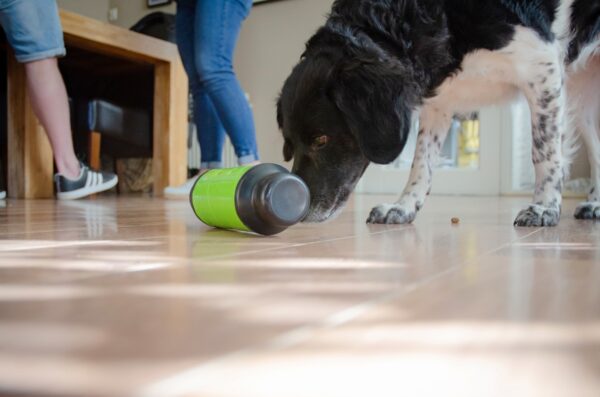 290388 Eat Slow Live Longer Feed and Treat L Groen