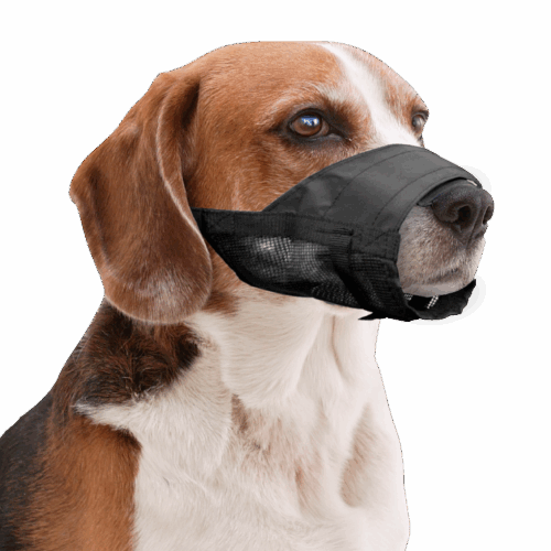 290401 Pawise Muzzle Adjustable L