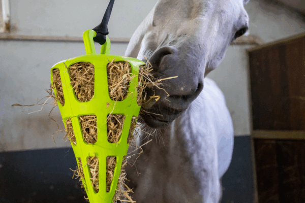 290493 Hay Slowfeeder Fun and Flex 22 cm Groene Wortel