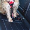 KONG Seat Belt Tether
