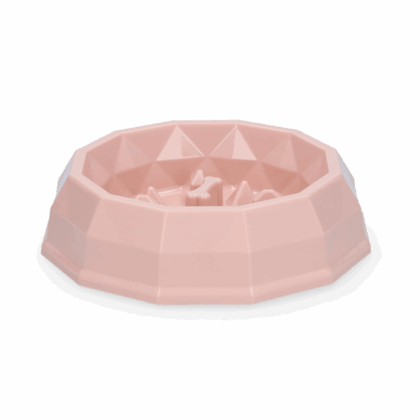 Pawise My slow feeding bowl -S