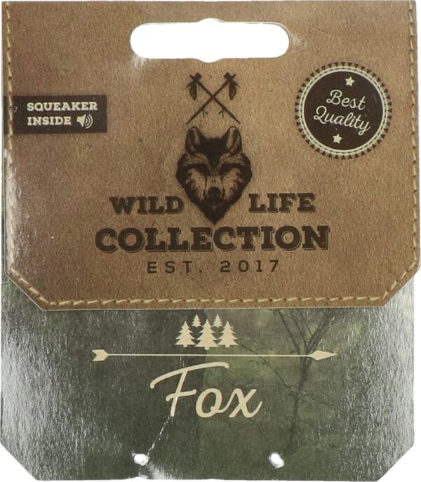 290602 Wild Life Dog Fox