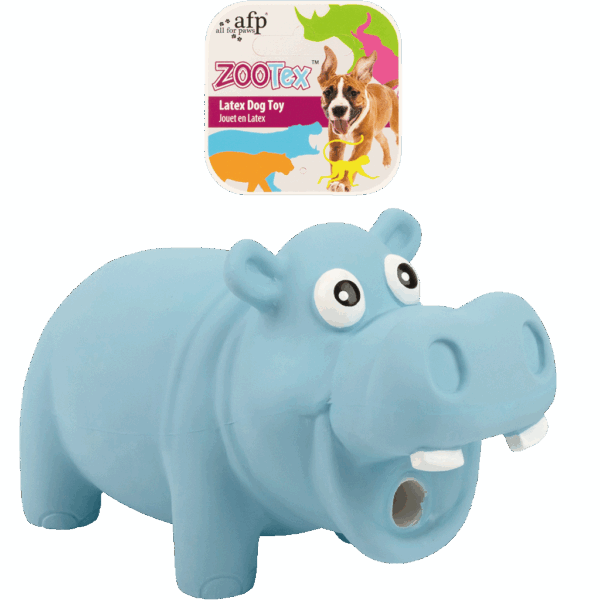 290663 AFP Hector the Hippo - L
