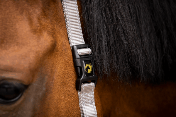 290687 Excellent Horse Essential Halster XS Mini Foal Grijs