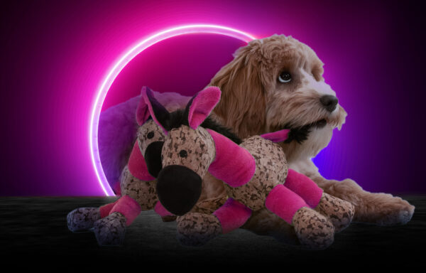 290770 Retrodog Donkey Pink M