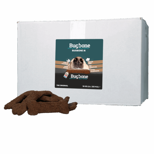 290833 Bugbone Medium ca. 335 st