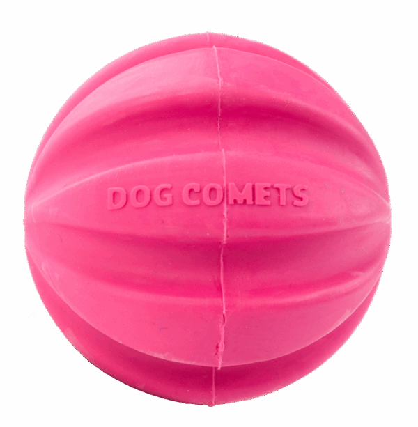 290843 Dog Comets Ball Meteorite Roze