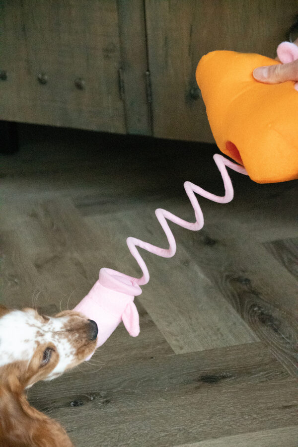 290861 Double Wobble Carrot Conejos