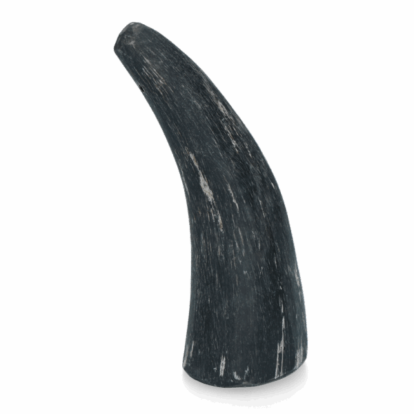 290893 Viking whole Horn S