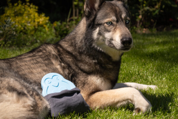 290968 CoolPets Cooling Ice Penguin