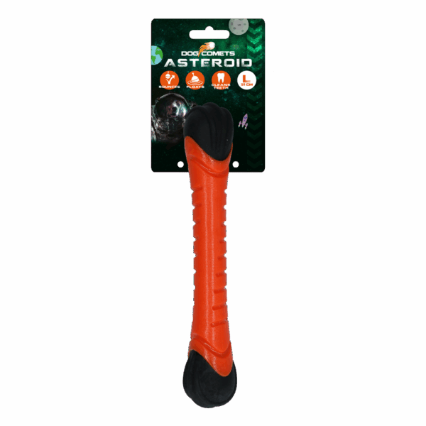 291102 Dog Comets Asteroid Orange L