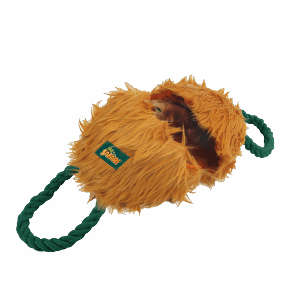 291110 AFP Safari - Leave me alone Flamingo