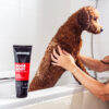 291157 Animology Dogs Body Shampoo