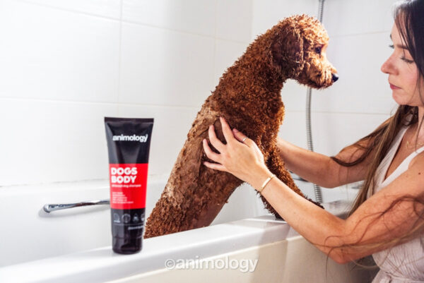 291157 Animology Dogs Body Shampoo
