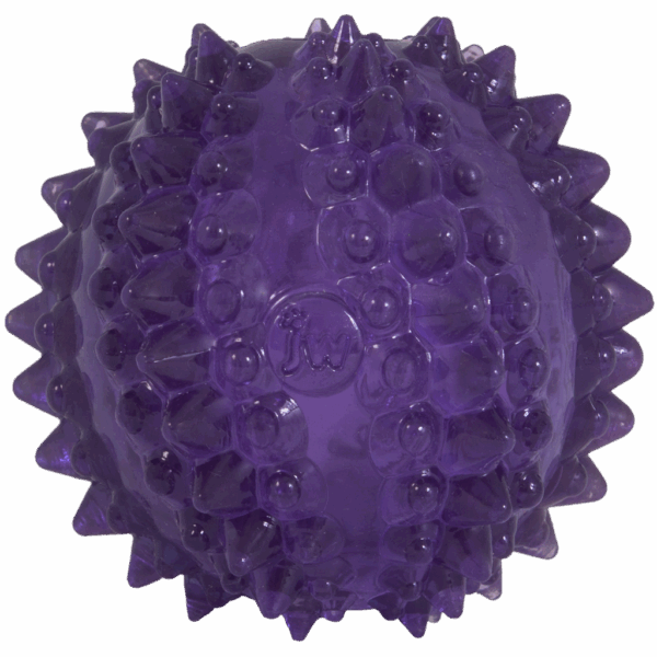 291171 JW Bristl-ee cactus ball