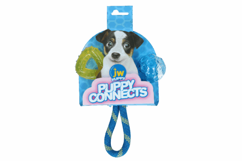 291247 JW Puppy connects