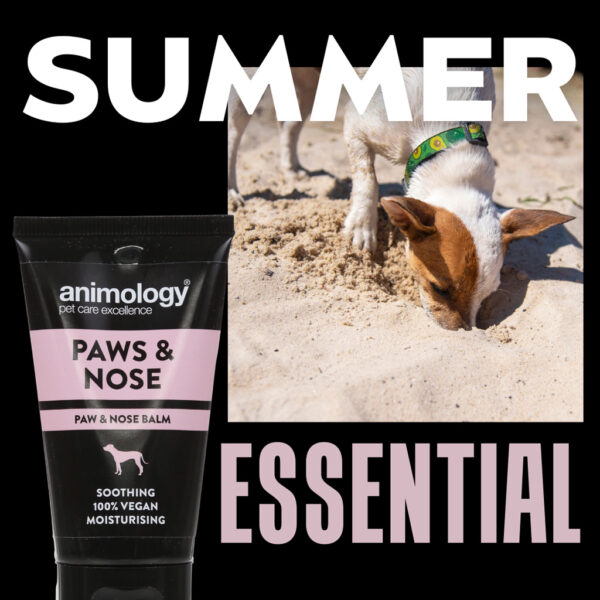 June social - Animology - 5 Animology Paws & Nose Balm 50ml