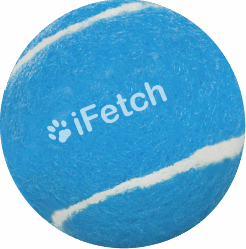 291276 iFetch Too Balls