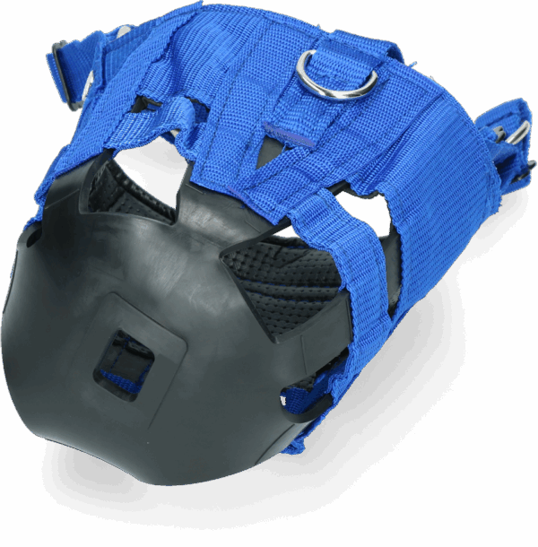 291289 Anti-graas The Ultimate Muzzle Pony