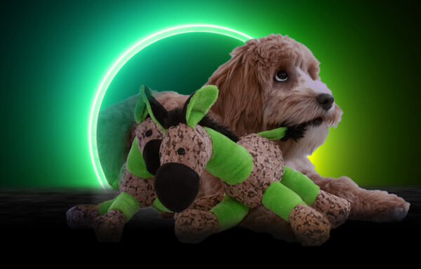 291302 Retrodog Donkey Green M