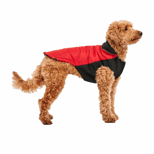 291361 Gooeez Mock Neck Signature Jacket 2XS Red/Black