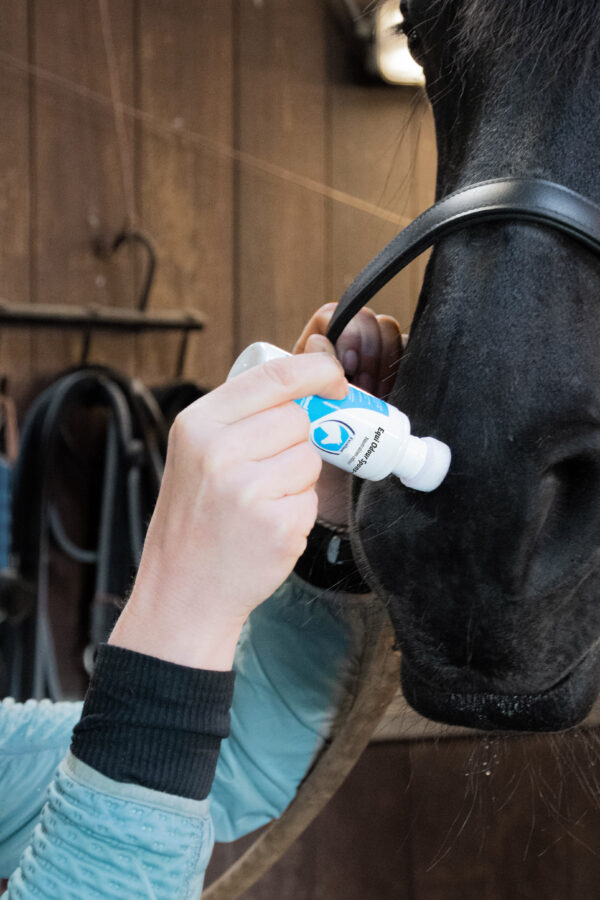 Excellent Horse Odour Spons-On 75 ml