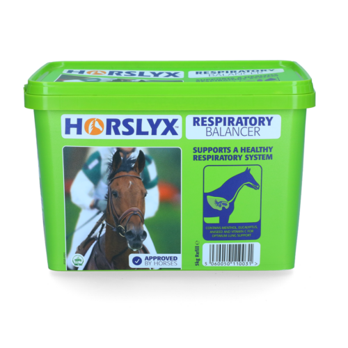 291419 Horslyx Respiratory Balancer