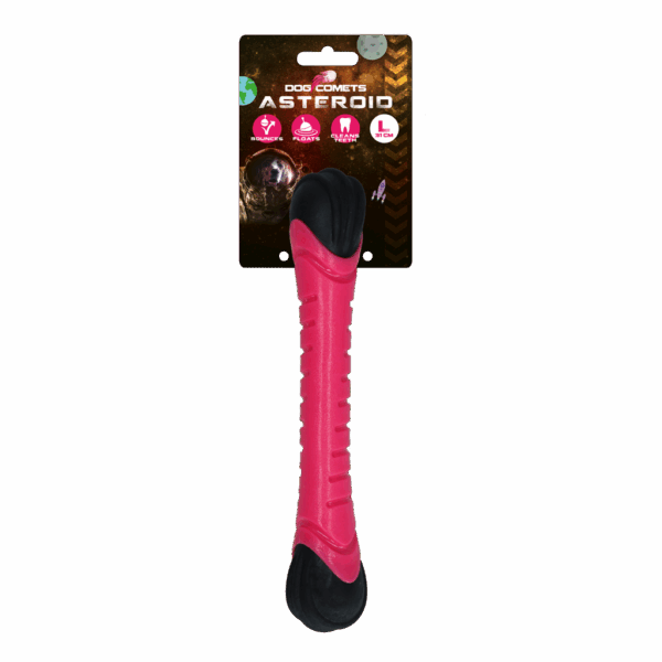 291465 Dog Comets Asteroid Pink L