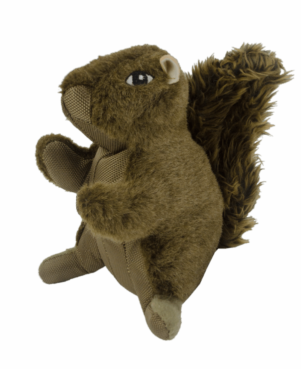 297173 Wild Life Dog Squirrel (Eekhoorn)