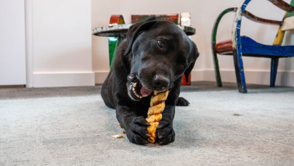 Luna’s Choice Collagen Braid Salmon Small