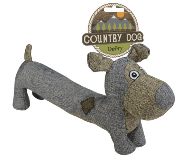 297259 Country Dog Daisy