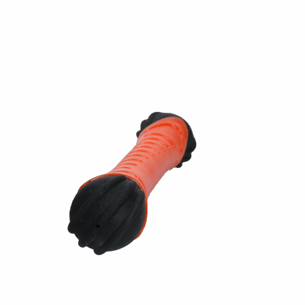 297375 Dog Comets Asteroid Orange S