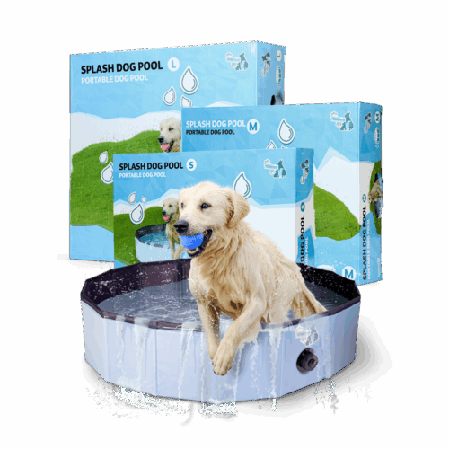 CoolPets Zwembad 80x20