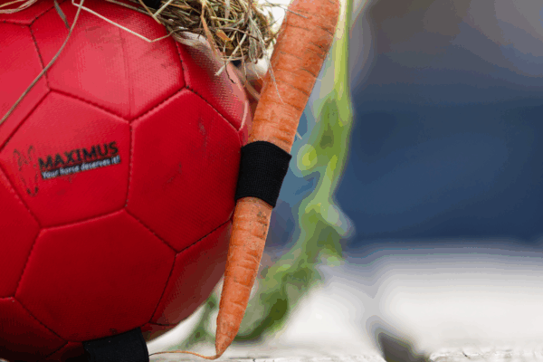 297455 Maximus Fun Play Ball Pink